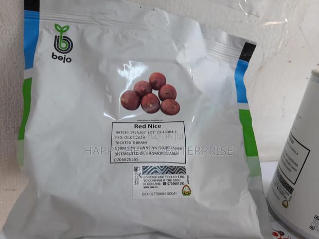 Red Nice F1 Hybrid Onion 50,000 Seeds (250G)