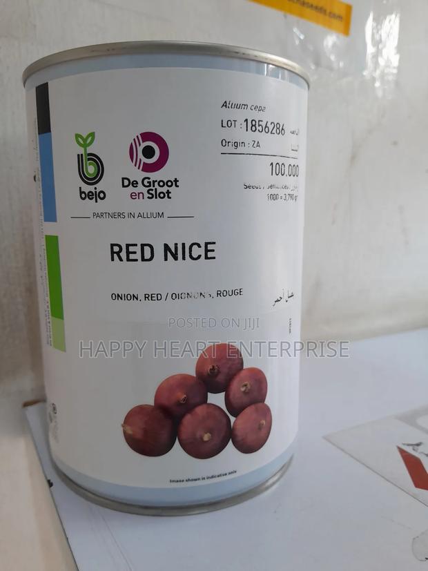 Hybrid Onion Red Nice F1 Onion 400G(100,000)Seeds