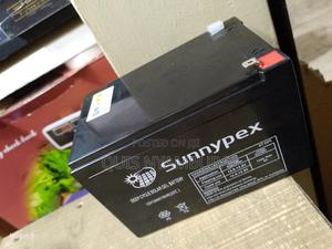12v Solar Battery/ Sunnypex Solar Battery - thumbnail 2