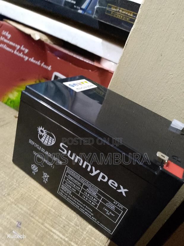 12v Solar Battery/ Sunnypex Solar Battery - thumbnail 3