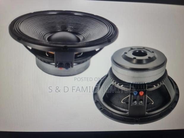 15 Inch Naked Speaker Double Magnet - main view