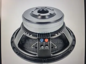 15 Inch Naked Speaker Double Magnet