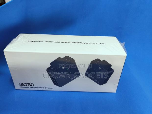 SK750 2.4G Wireless Microphone System - main view