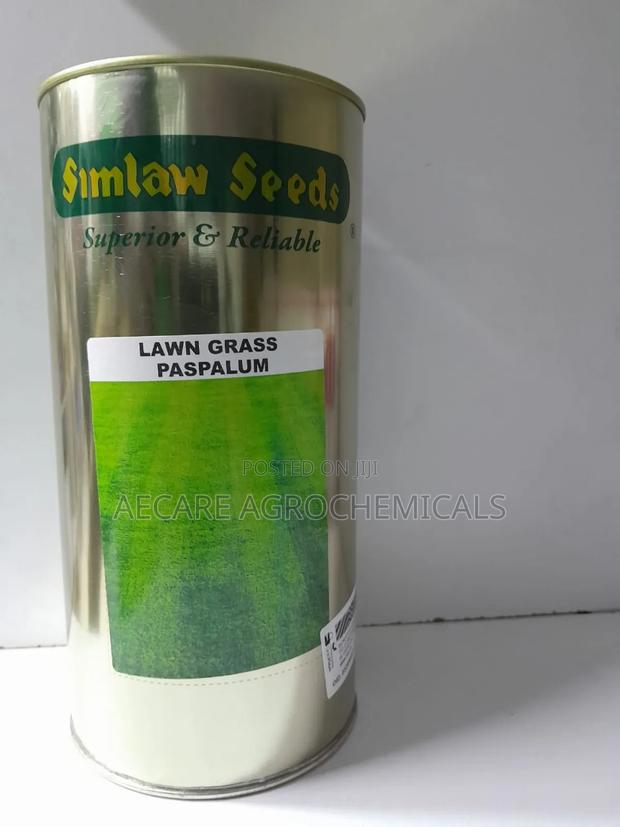 Lawn Grass Paspalum Seeds 500 Grams - thumbnail 2