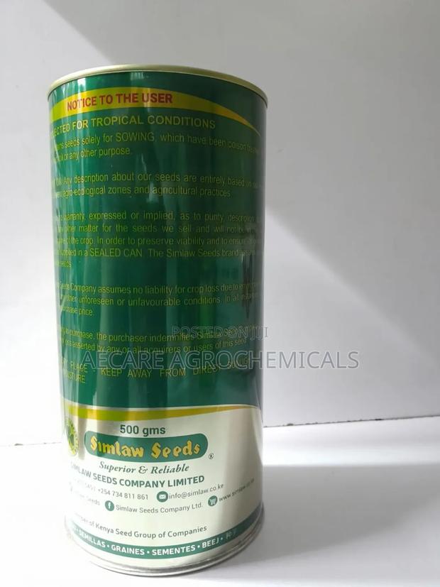 Lawn Grass Paspalum Seeds 500 Grams - thumbnail 3