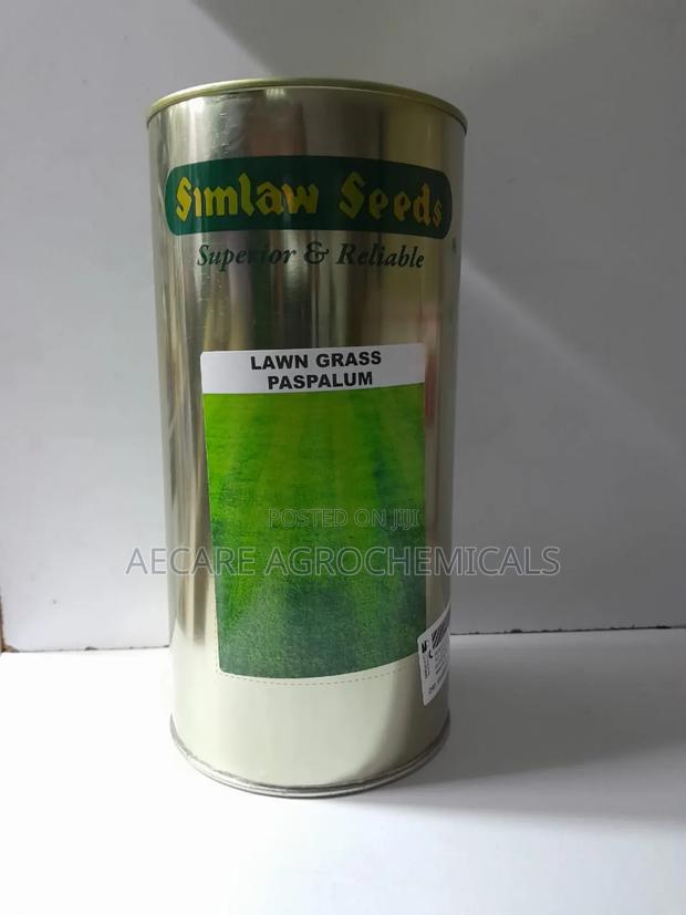 Lawn Grass Paspalum Seeds 500 Grams - thumbnail 7