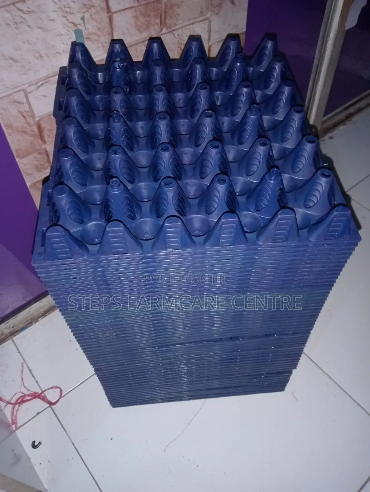Blue Plastic Egg Trays