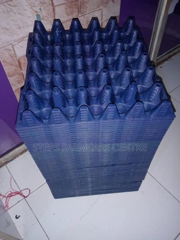 Blue Plastic Egg Trays - main view