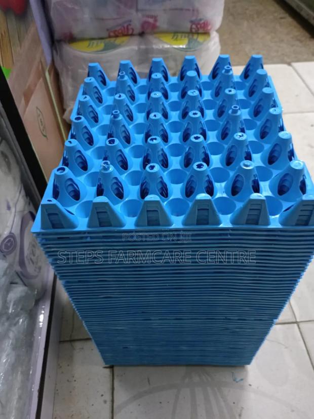 Light Blue Plastic Trays - main view