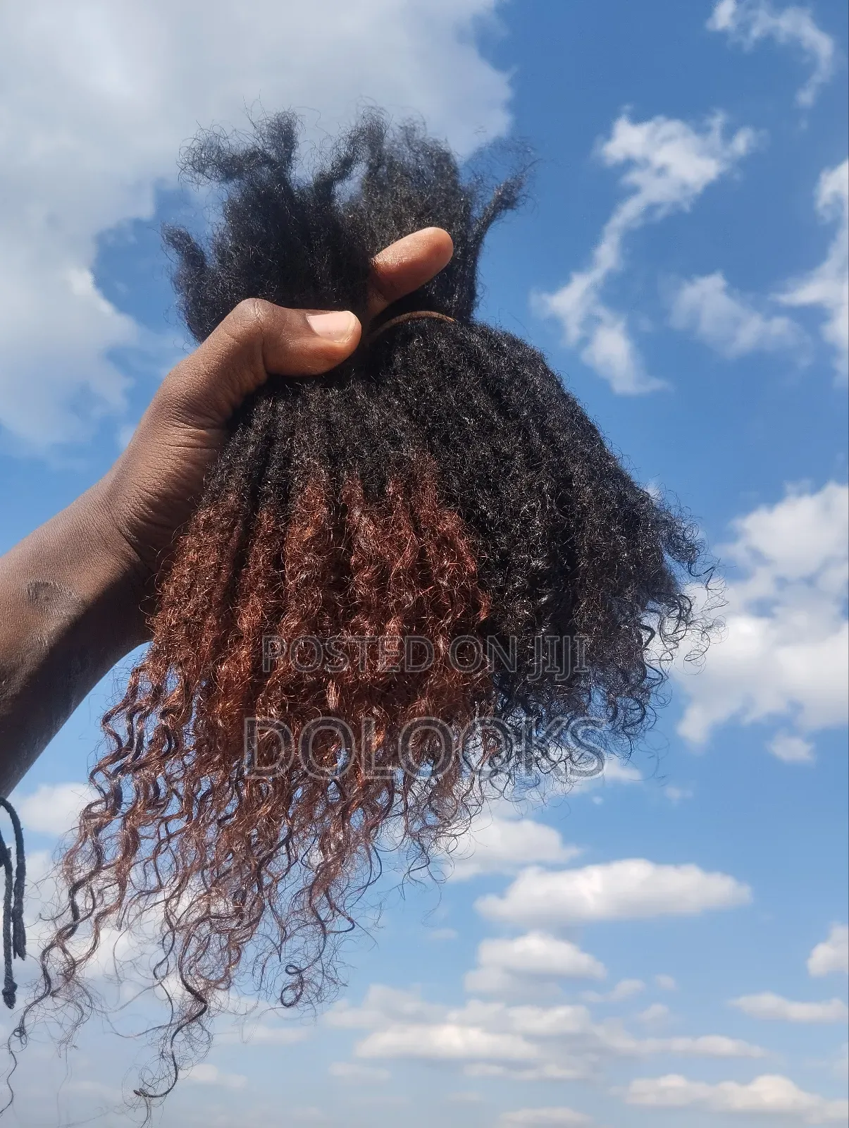 Curly Ends Human Hair Dreadlocks// Dolooks 8-10 Inch Natural