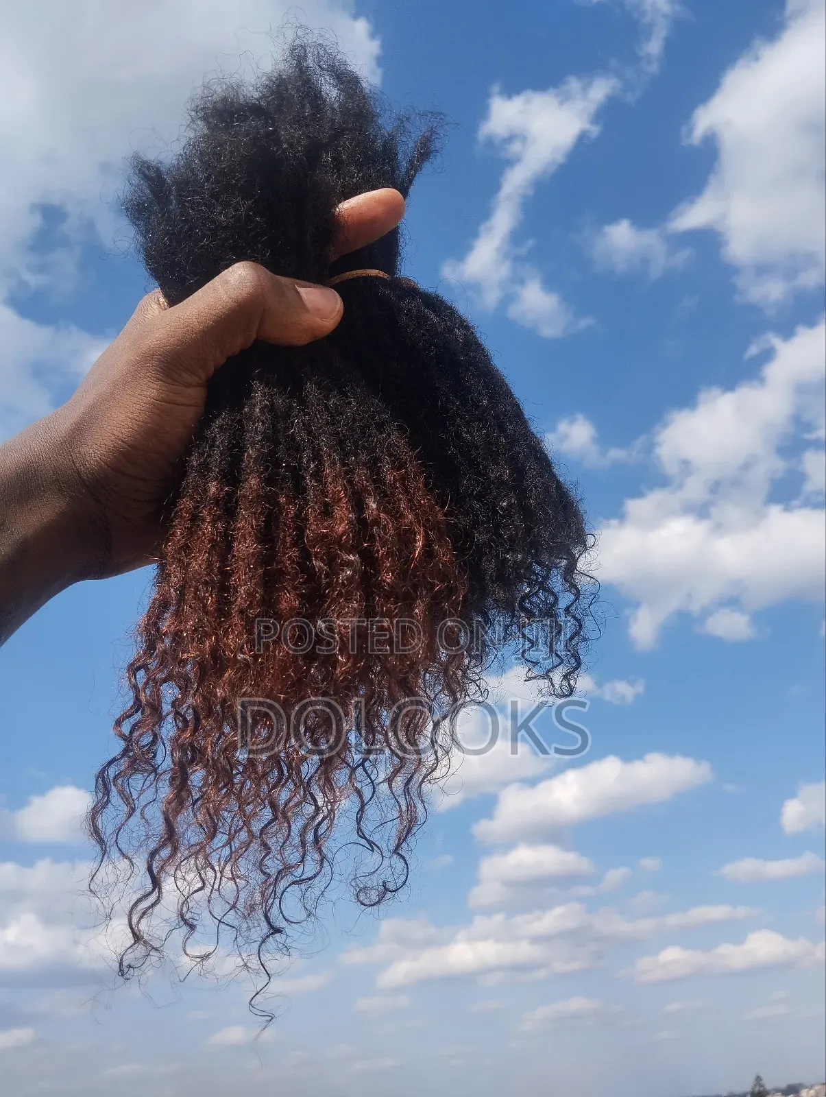 Curly Ends Human Hair Dreadlocks// Dolooks 8-10 Inch Natural