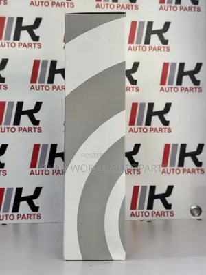 BMW E53 X5 4.4 4.8 04-06 Air Filter 13721736675 /13721702158