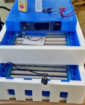 Eggs Incubator 128 Eggs Incubator/Ac/Dc