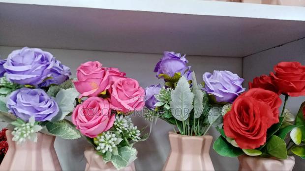 Roses Variety of Colours on Offer