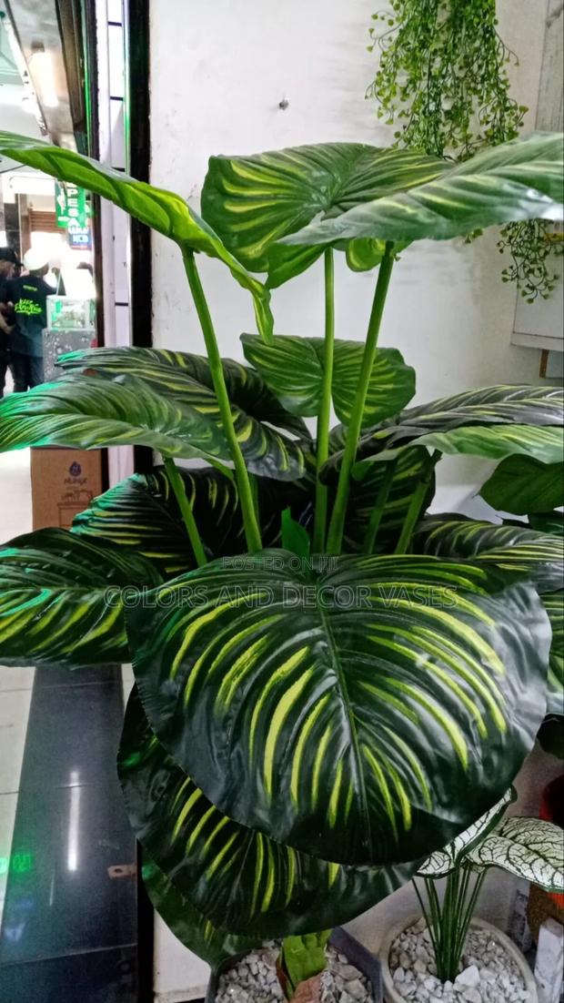 Big Stripped Plant KSH 7500 With Vase and Pebble Stones