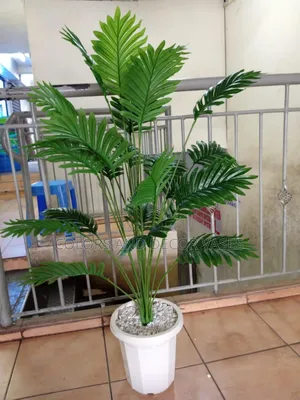 1.2m Palm and Vase in Stock