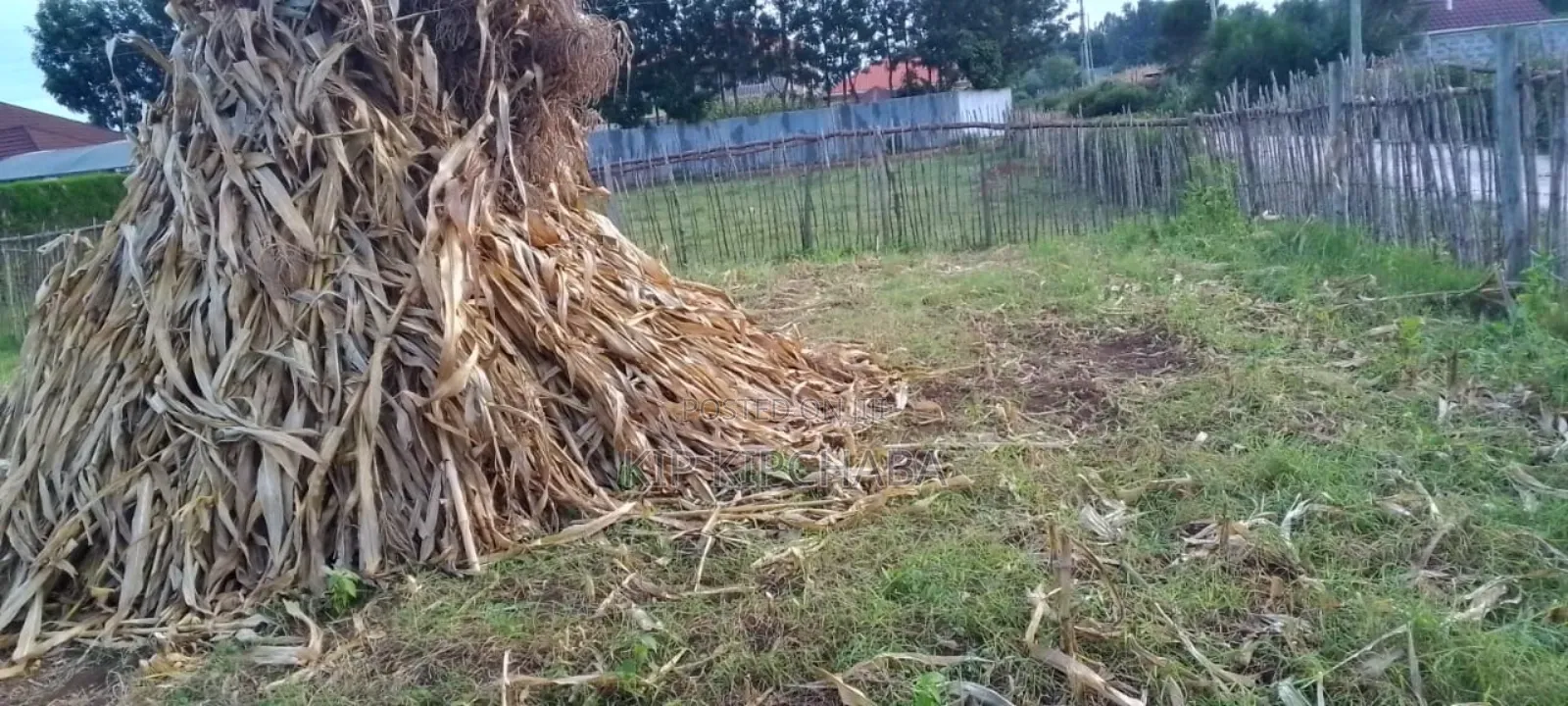 Plot for Sale in Illula Eldoret City After Kapsoya