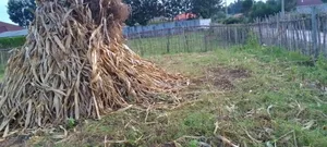 Plot for Sale in Illula Eldoret City After Kapsoya
