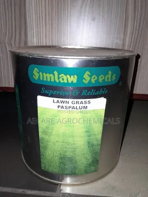 Lawn Grass Paspalum Seeds 1kg