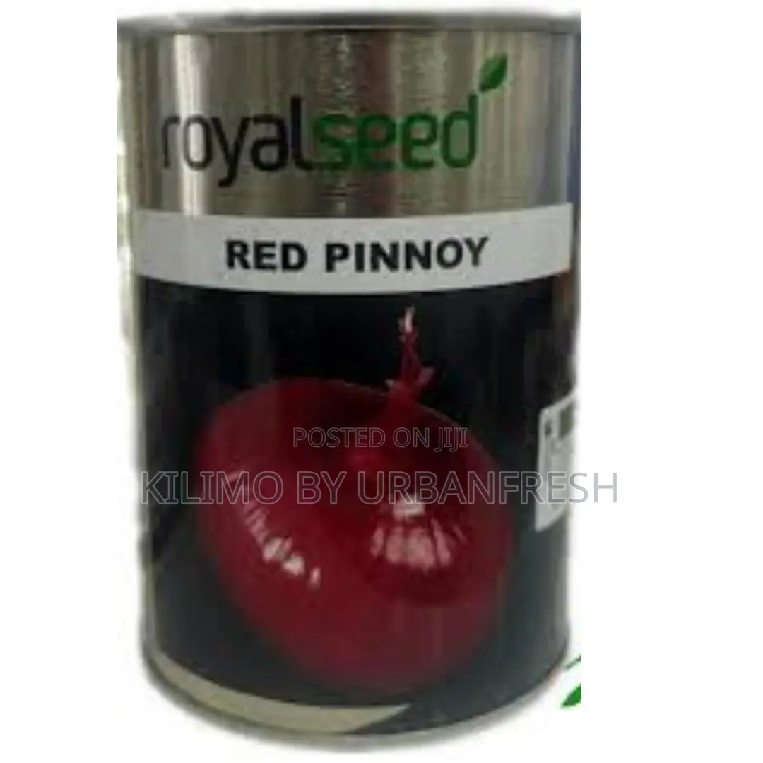 Red Pinnoy Onion Seeds 250g
