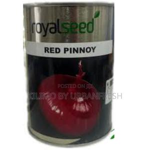 Red Pinnoy Onion Seeds 250g - main view