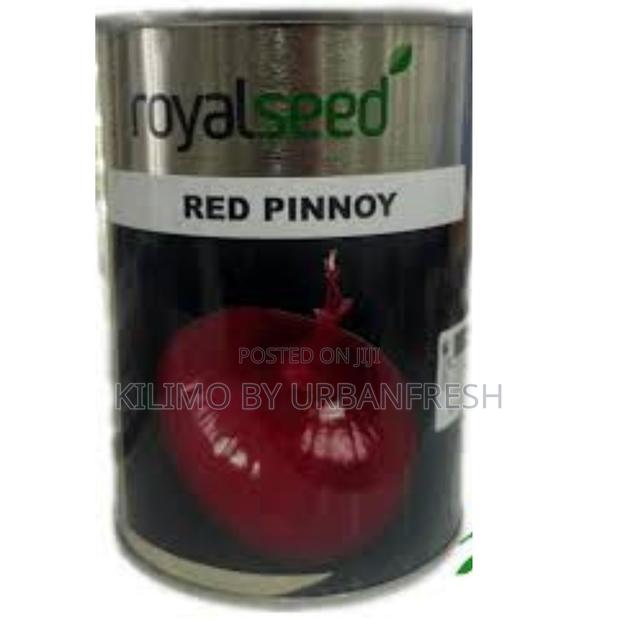 Red Pinnoy Onion Seeds 250g