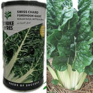Spinach Fordhook Giant (Swiss Chard) Seeds 500g - main view