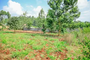 Prime 1/4-Acre Residential Plot for Sale Kikuyu, Thogoto