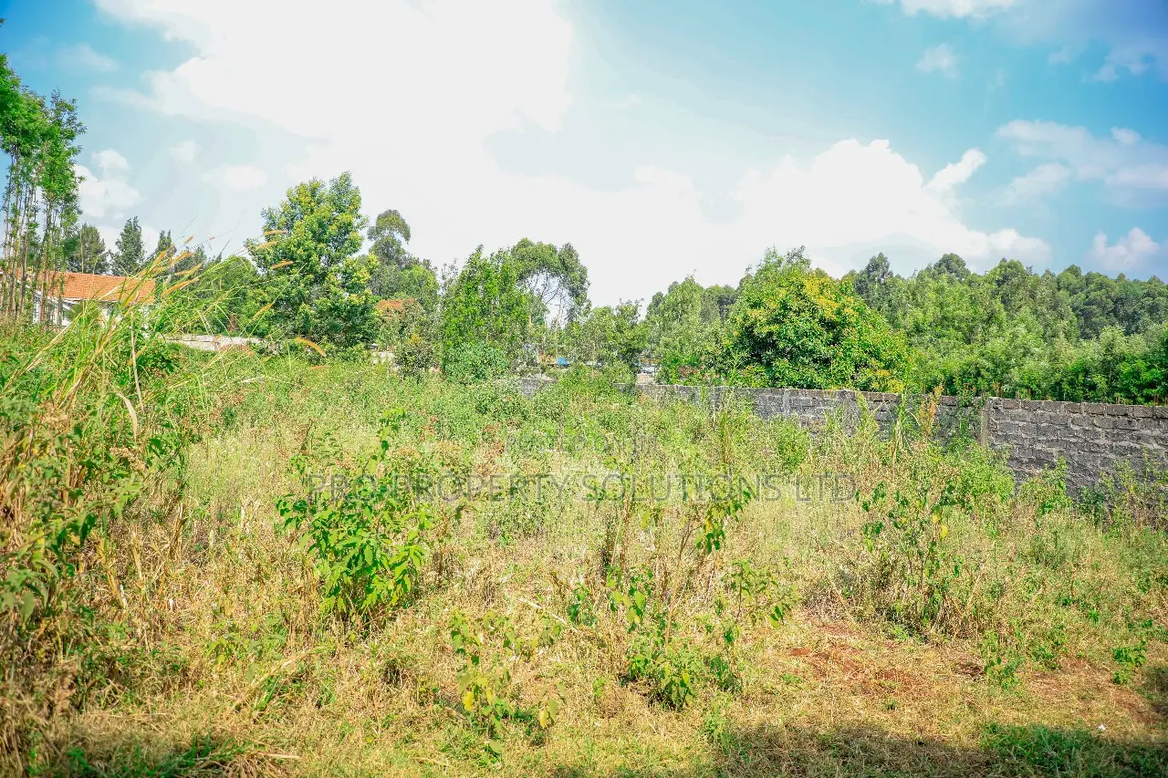 Prime 1/4-Acre Residential Plot for Sale Kikuyu, Thogoto