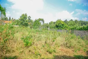 Prime 1/4-Acre Residential Plot for Sale Kikuyu, Thogoto