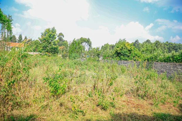Prime 1/4-Acre Residential Plot for Sale Kikuyu, Thogoto - thumbnail 5
