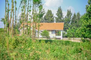 Prime 1/4-Acre Residential Plot for Sale Kikuyu, Thogoto - thumbnail 2