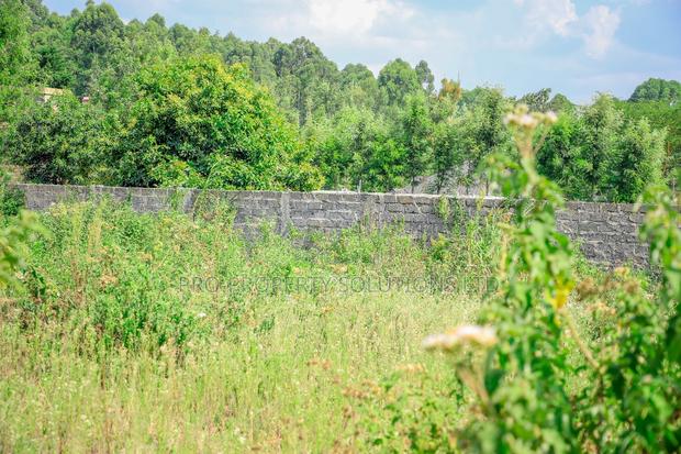 Prime 1/4-Acre Residential Plot for Sale Kikuyu, Thogoto - thumbnail 7