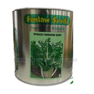 Spinach Fordhook Giant Seeds 50g - main view