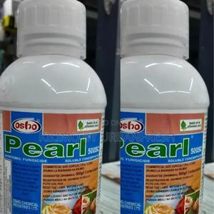 PEARL 50SC Seeds 100g - main view