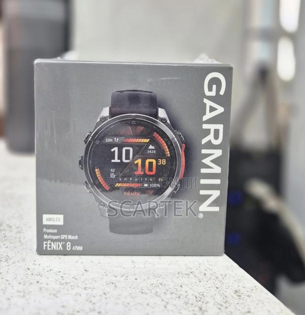 Garmin Fenix 8 - main view