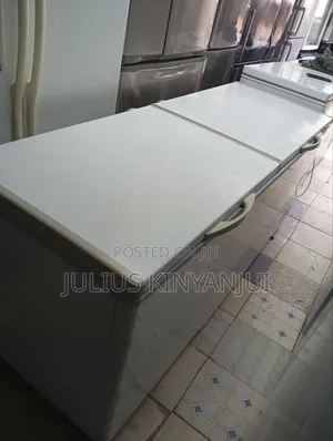 Ramtons Double Door Deep Freezer