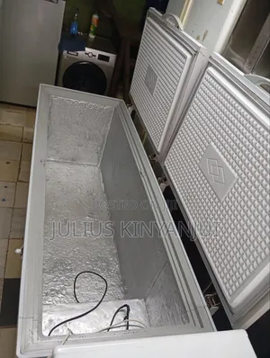 Ramtons Double Door Deep Freezer