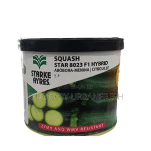 Courgette Star 8023 Seeds 25g - main view