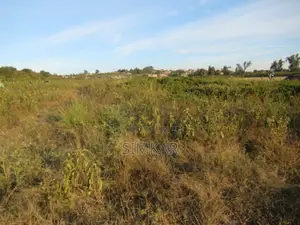 15 Acres of Land for Sale in Naivasha