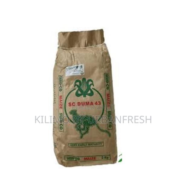 SC Duma 43 Maize Seeds 2kg