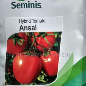 Ansal F1 Tomato Seeds (5000 Seeds - main view