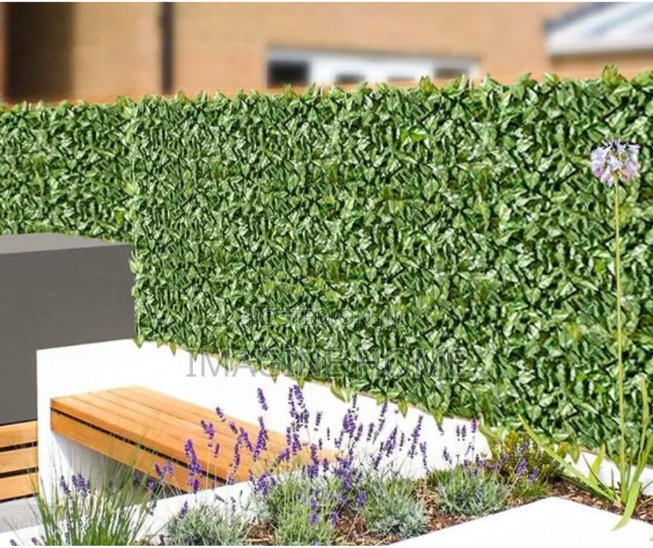 Light Nice Green Fences Plants