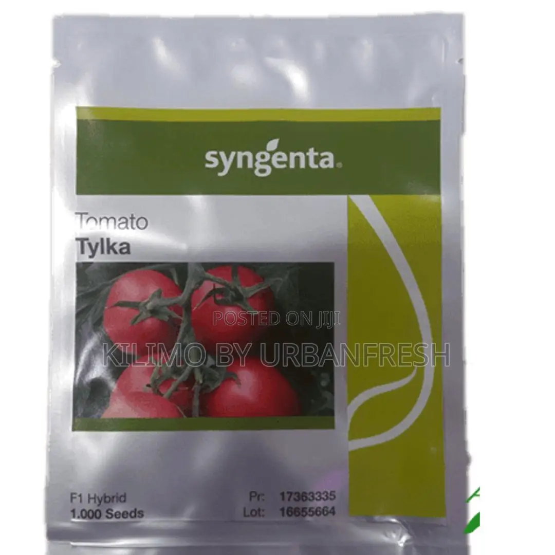 Tylka F1 Tomato (500 Seeds at KSHS 6500)
