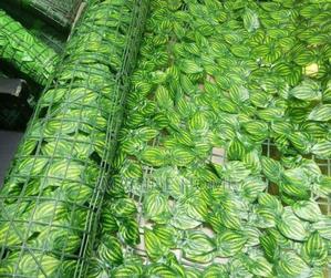 Watermelon Leaf Green Fence Plants - thumbnail 2