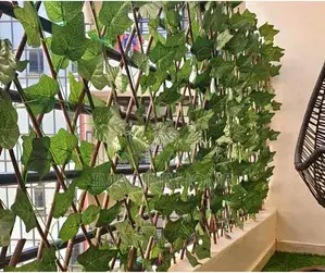 Beautiful Expandable Green Fence Plants