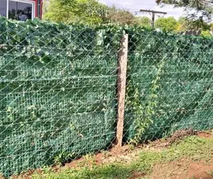 Garden Green Adorable Fence