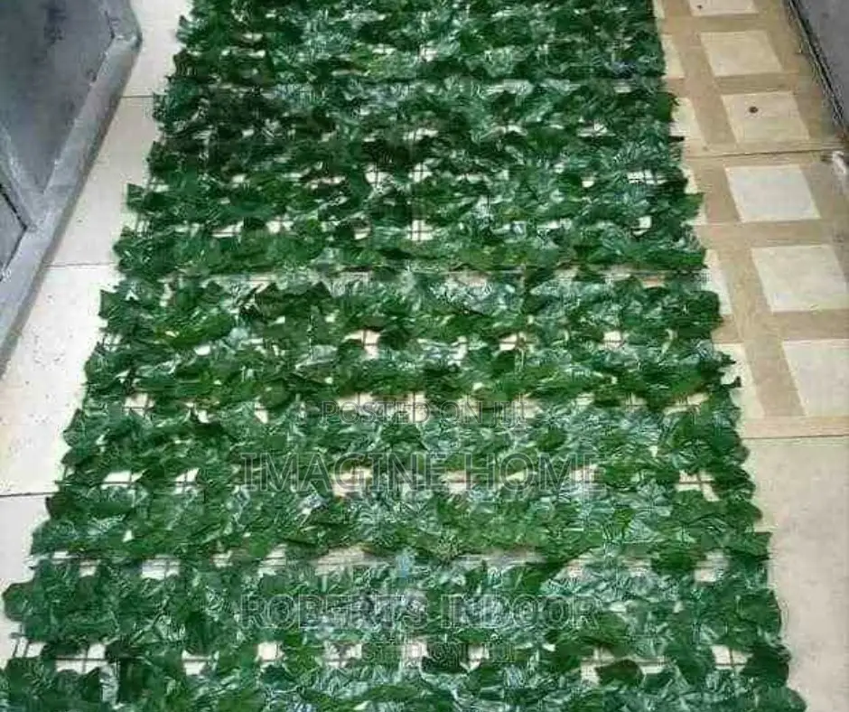Dark Green Beautiful Green Fence Plants