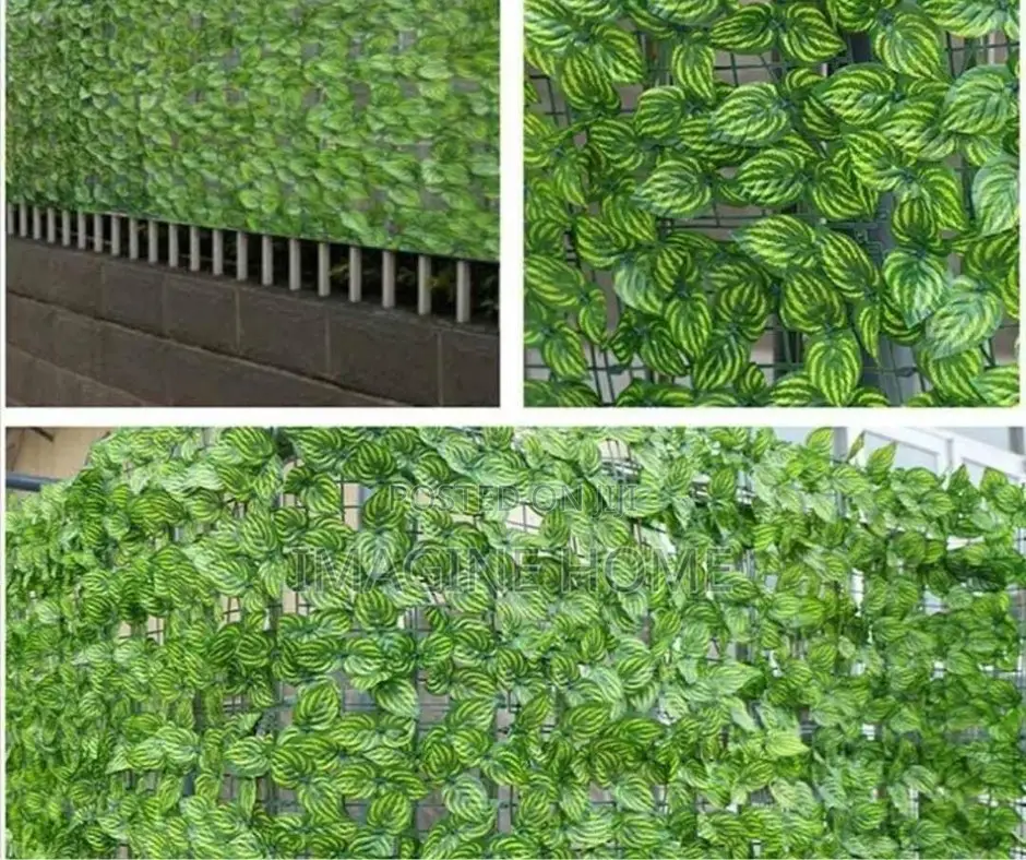 Green Watermelon Green Adorable Fence