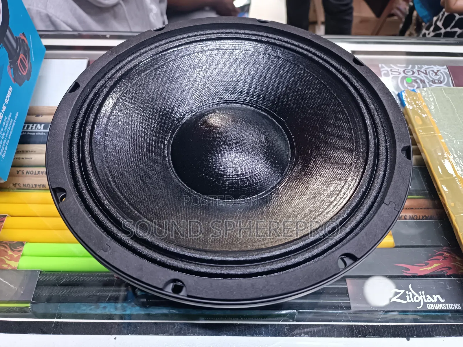 BM 10BM300H 10inch Mid Range Speaker